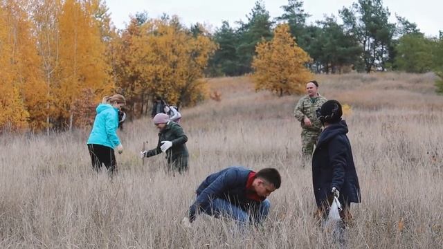 Посадка леса в Курской области 16 октября 2021 года смотреть онлайн