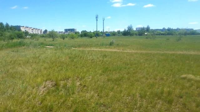 охота за птицами гром поймал птицу в поле смотреть онлайн