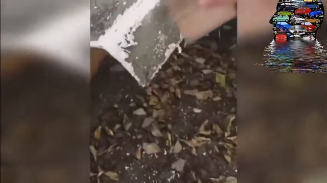 Жесть на сто №5. Подборка. Машина с душем. смотреть онлайн