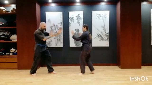 2.ШАГИ-ПЕРЕМЕЩЕНИЯ: 1.23 перемещения (18.Разворот журавля) смотреть онлайн