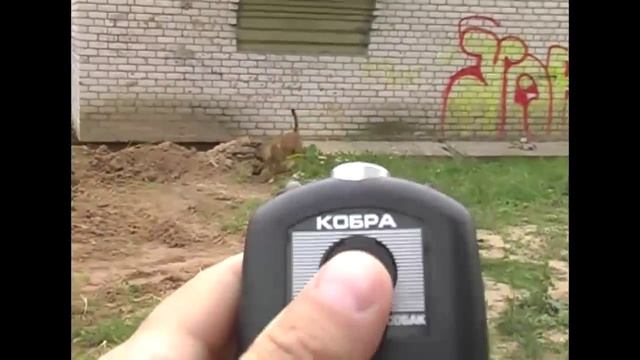 Эффект от ультразвукового отпугивателя собак "Кобра" смотреть онлайн