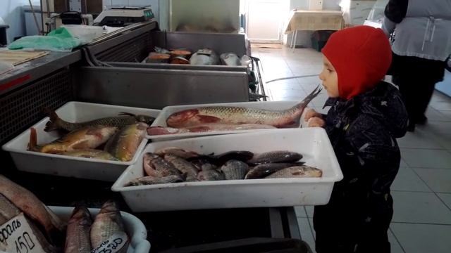 Петя и живая рыба... смотреть онлайн