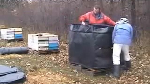 2010. Frenchbeefarm. Утепления на поддонах по четыре смотреть онлайн