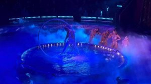 Колесо Сира «Нарцисс» Эдуард Шубин 2024