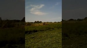 косилка Заря мотоблок салют агат