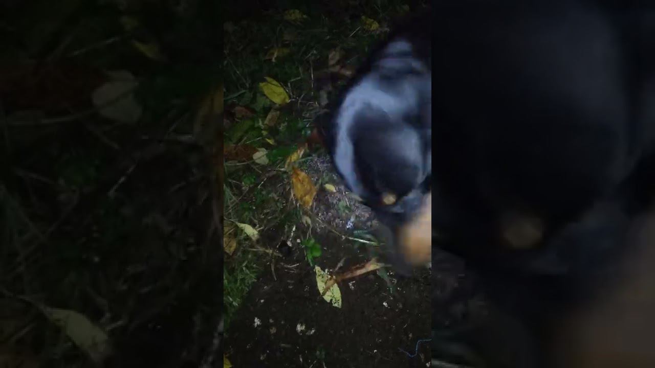 6 октября 2022 г. смотреть онлайн