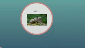 Неопределенный артикль.  2 класс