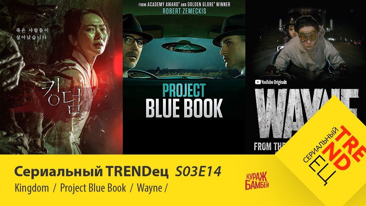 Королевство \ Wayne \ Проект "Синяя Книга" | Сериальный TRENDец | S03E14 (Кураж-Бамбей) смотреть онлайн