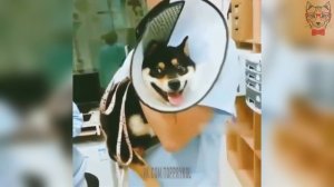 Когда Боишься Уколов