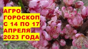 Агрогороскоп с 14 по 17 апреля 2023 года. Агрогороскоп з 14 по 17 квітня 2023 року