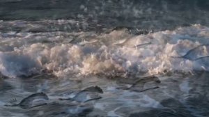 Капля за каплей/Drop by drop...