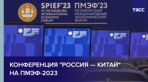 Конференция "Россия — Китай" на ПМЭФ-2023