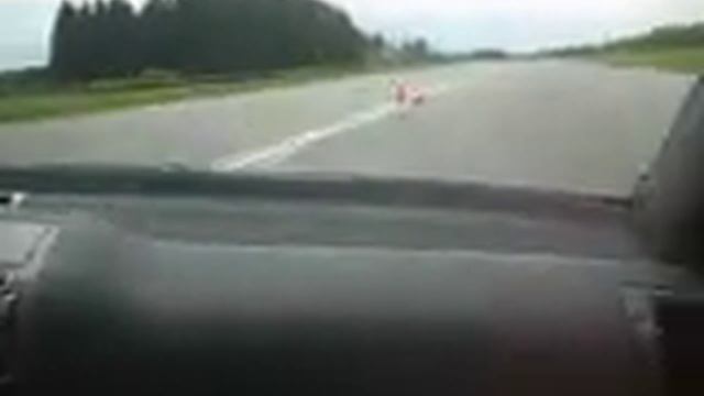 Skoda Octavia RS - 06 on RS Stage, Lunda, Sweden смотреть онлайн