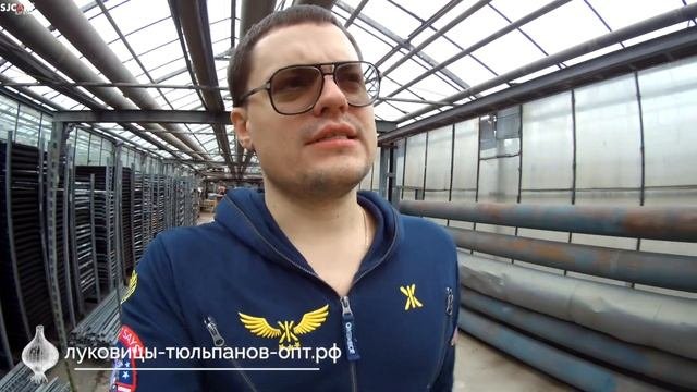 Поставка луковиц тюльпанов из Голландии 2020