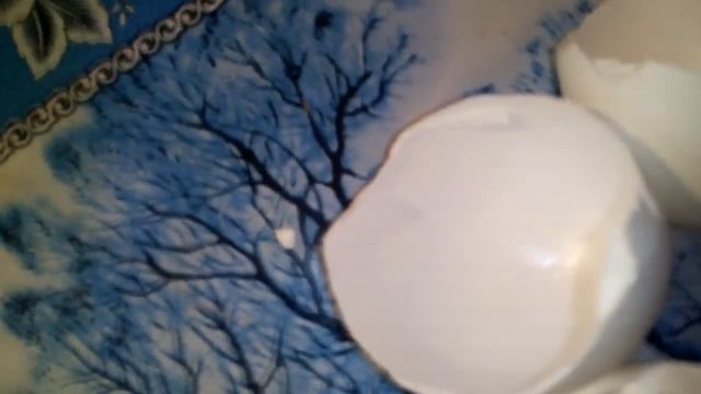 ОСТЕОПОРОЗ, АЛЛЕРГИЮ, СУДОРОГИ, ВИРУСНУЮ ИНФЕКЦИЮ - УСТРАНЯЕТ СКОРЛУПА ЯИЦ. смотреть онлайн