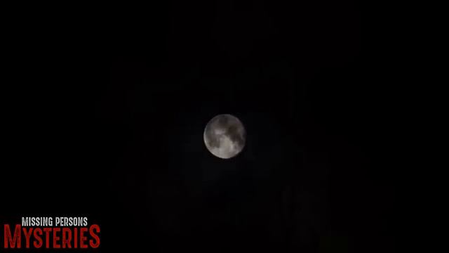 Feral Humans in our National Parks??? смотреть онлайн