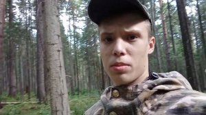 Урал. Август. Шишка. Сбор кедровых шишек в 2021 году