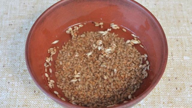 Коктейль из пророщенной пшеницы