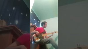 Moscas en la casa - Shakira - Bass cover