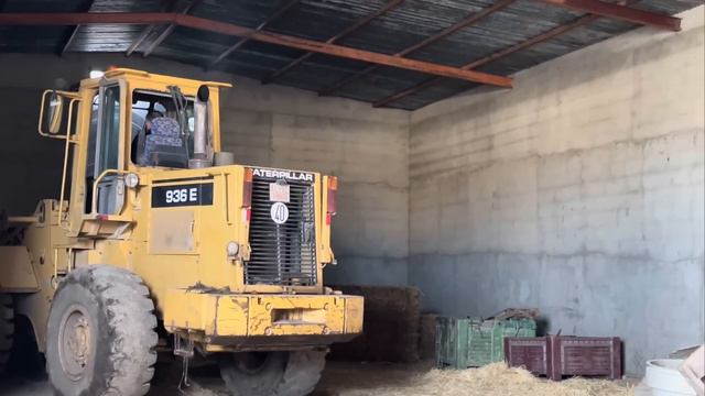 У НАС ЗАГОРЕЛАСЬ ФЕРМА! Мануэль передаёт всем привет. смотреть онлайн