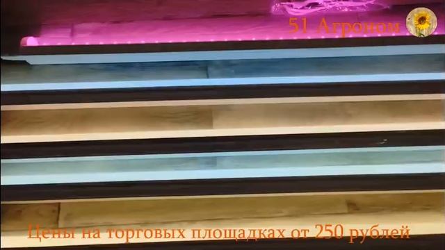 ОСВЕЩЕНЕ ДЛЯ КОМНАТНЫХ РАСТЕНИЙ смотреть онлайн