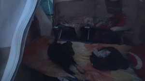 НОЧУЕМ С ПАЛАТКАМИ И СКЛАДЫВАЕМ металл С АЭРОДРОМА !!!