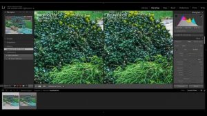 Обзор фотоаппарата PENTAX K-1 Mark II