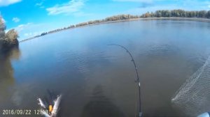 ЩУКА. Рыбалка на иртыше. Омская область