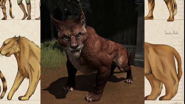 SKYRIM - ГЛОБАЛЬНЫЙ МОД ЭЛЬСВЕЙР ЛУННЫЕ ТРОПЫ И КАДЖИТЫ СКАЙРИМА смотреть онлайн