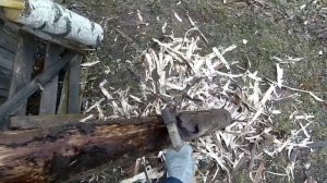 УБИРАЮ КОРУ ОТ БРЕВНА, ПОДГОТОВИЛ БРЕВНА ДЛЯ ЗАБОРА. ИГРАЮ С ЩЕНКОМ