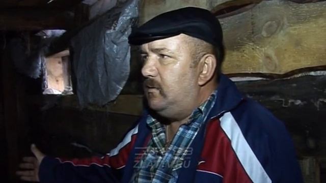 В Златоусте и его окрестностях идет перепись крупнорогатого населения смотреть онлайн