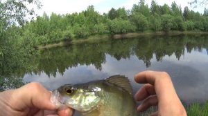 Чилю вдоль реки на перевес со спиннингами!!! Рыбалка на мормышку. Река Тагил.
