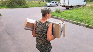 Обзор посылок с растениями. Флоксы, барбарисы, примулы и др.