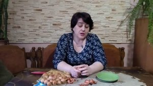 Лук -шалот и его секреты.