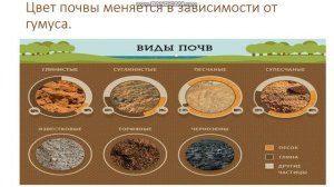 География 7 класс. Тема: Разнообразие почв