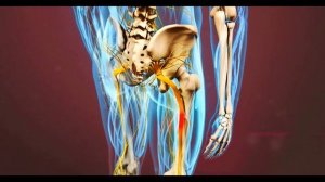 РАЗБЛОКИРУЙ СЕДАЛИЩНЫЙ НЕРВ: ВСЕГО 2 УПРАЖНЕНИЯ, ЧТОБЫ ИЗБАВИТЬСЯ ОТ БОЛИ. ОЧЕНЬ ЭФФЕКТИВНО!