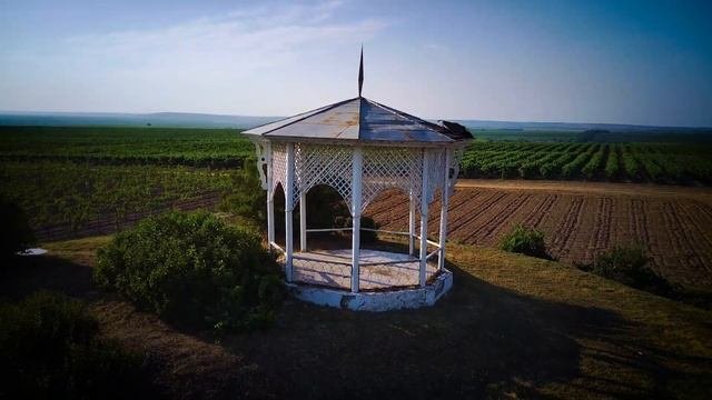посёлок Виноградный. Жизнь в Радость.@ug-region