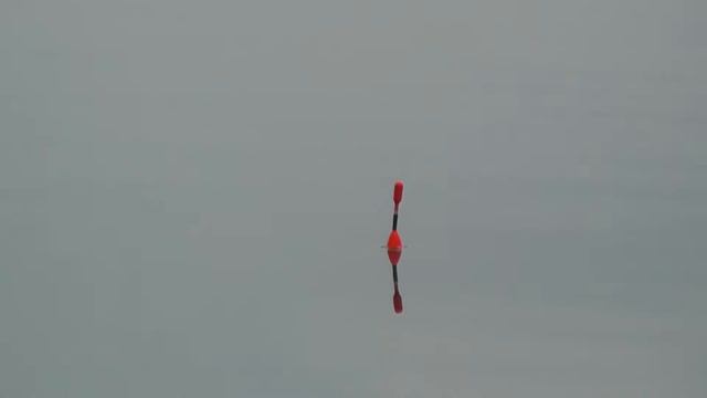 Рыбалка на маховое удилище. КИЛОГРАММОВЫЙ ЛЕЩ согнул удочку в дугу. смотреть онлайн