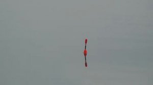 Рыбалка на маховое удилище. КИЛОГРАММОВЫЙ ЛЕЩ согнул удочку в дугу.