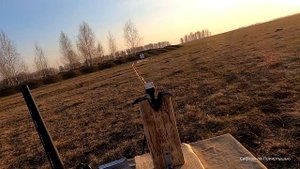 Разбор и тест дробовых патронов АЗОТ СИБИРЬ, в  контейнере