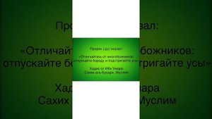 ПАЙГАМБАРЛАР ТАРИХИ 23- Довуд ва Сулаймон алайхиссаломлар киссаси.