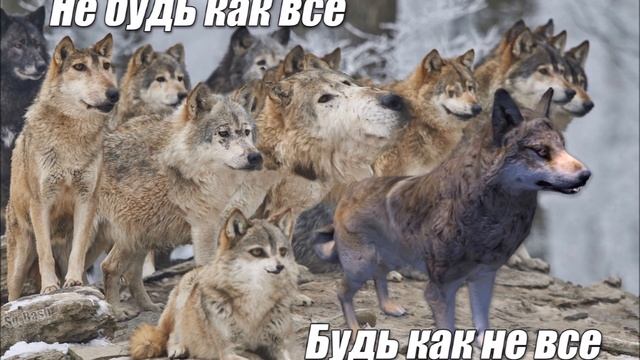 Почему в Латинской Америке нет национального государства | Ватоадмин смотреть онлайн