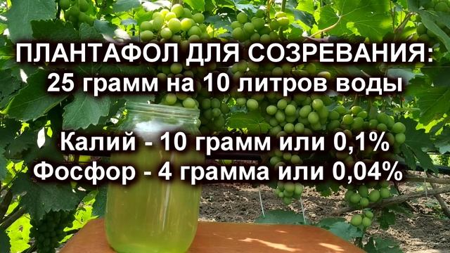 ? Как сделать ДОМАШНЕЕ удобрение ПЛАНТАФОЛ своими руками. Листовая подкормка. Вытяжка из золы.