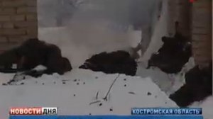 Задача: обезвредить противника
