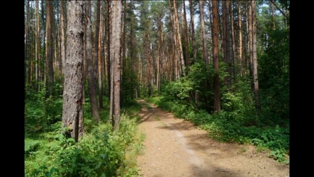 Гаданье ― Павел Васильев ―читает Павел Беседин
