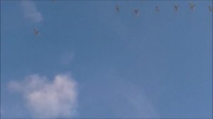 Открытие сезона рыбалки. Рыбалка с фитилями (ятерями, вентерями и т.д)