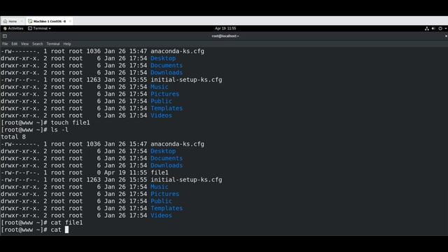 Basic commands of Linux OS | CentOS 7-8 Basic commands | cat commands | Create a directory in Linux