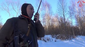 Motorola GP-340; DGP-8050: LB, VHF, UHF, 800 MHz. Сравнительный тест