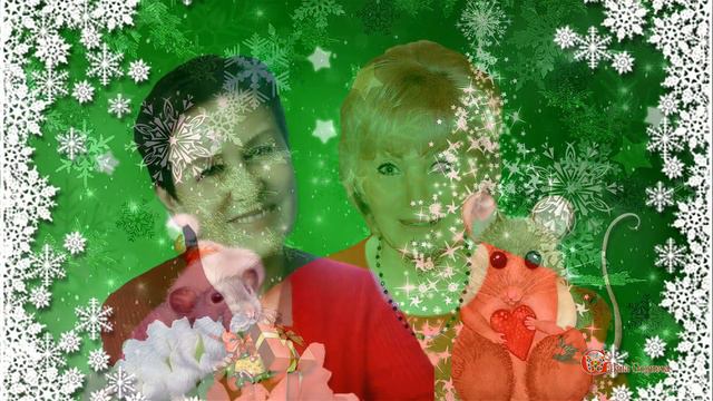 С НАСТУПАЮЩИМ НОВЫМ ГОДОМ, МОИ ДОРОГИЕ ПОДРУЖЕНЬКИ! смотреть онлайн