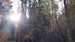 Охота на рябчика с Армскор РИА 22лр/Armscor RIA22.